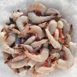 Jumbo Gulf Shrimp